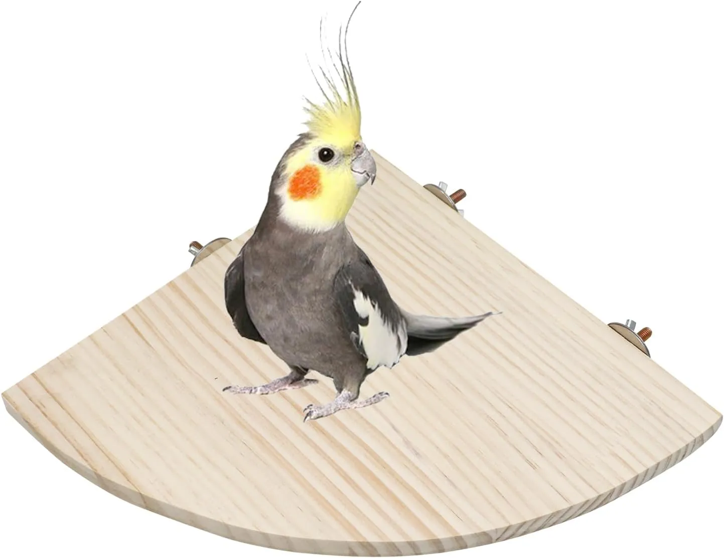 11.8  11.8 Inches Large Bird Perch Stand Platform, Natural Wooden Small Animals Cage Accessories, Rectangle Stand Perch Shelf for Parrot Parakeet Cockatiel Rat Hamster Guinea Pig Conure Chinchillas