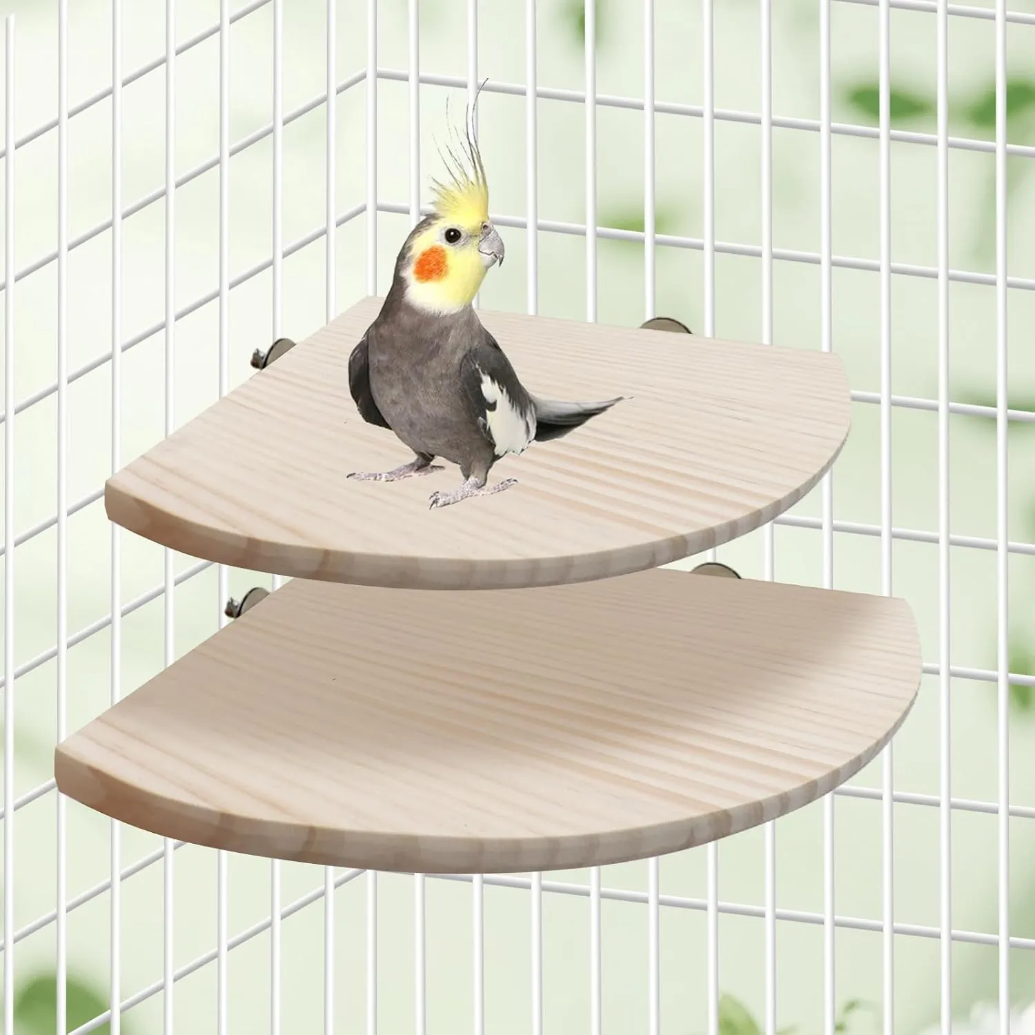 11.8  11.8 Inches Large Bird Perch Stand Platform, Natural Wooden Small Animals Cage Accessories, Rectangle Stand Perch Shelf for Parrot Parakeet Cockatiel Rat Hamster Guinea Pig Conure Chinchillas