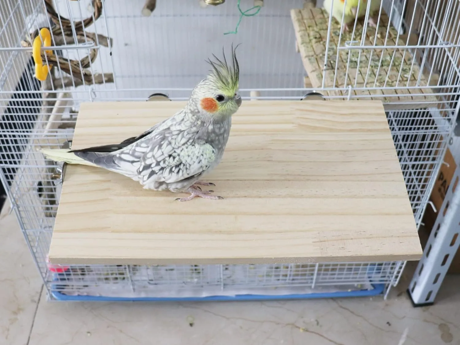 13.67.9 Inches Large Bird Perch Stand Platform, Natural Wooden Small Animals Cage Accessories, Rectangle Stand Perch Shelf for Parrot Parakeet Cockatiel Rat Hamster Guinea Pig Conure Chinchillas