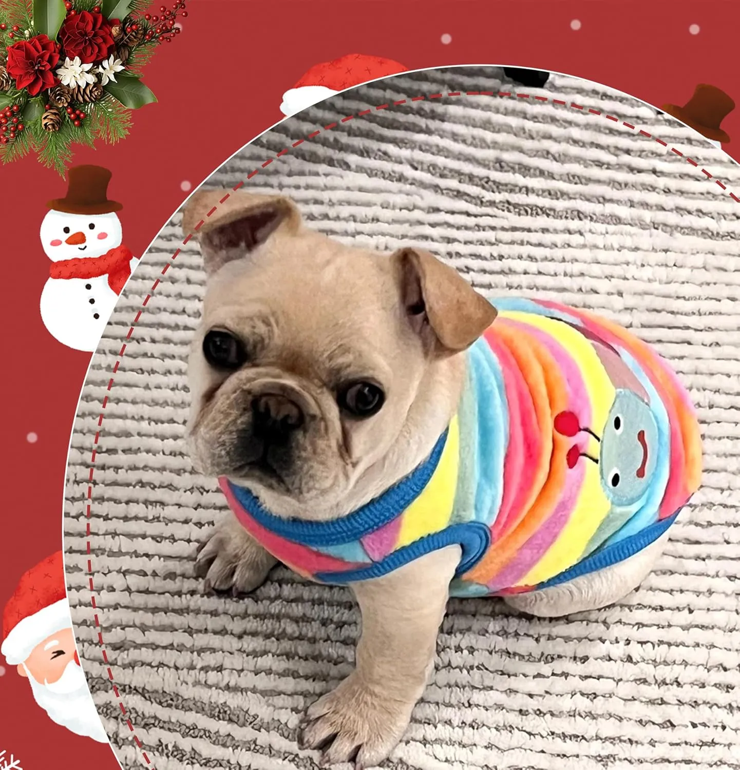2 Pieces XS Chihuahua Cute Small Dog Puppy Winter Extra Small Pet Dachshund Clothing Fleece Sweater