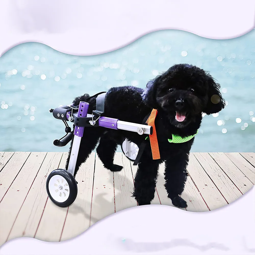 Adjustable Dog Wheelchair for Back Legs