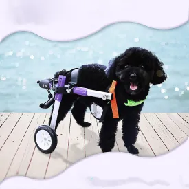 Adjustable Dog Wheelchair for Back Legs