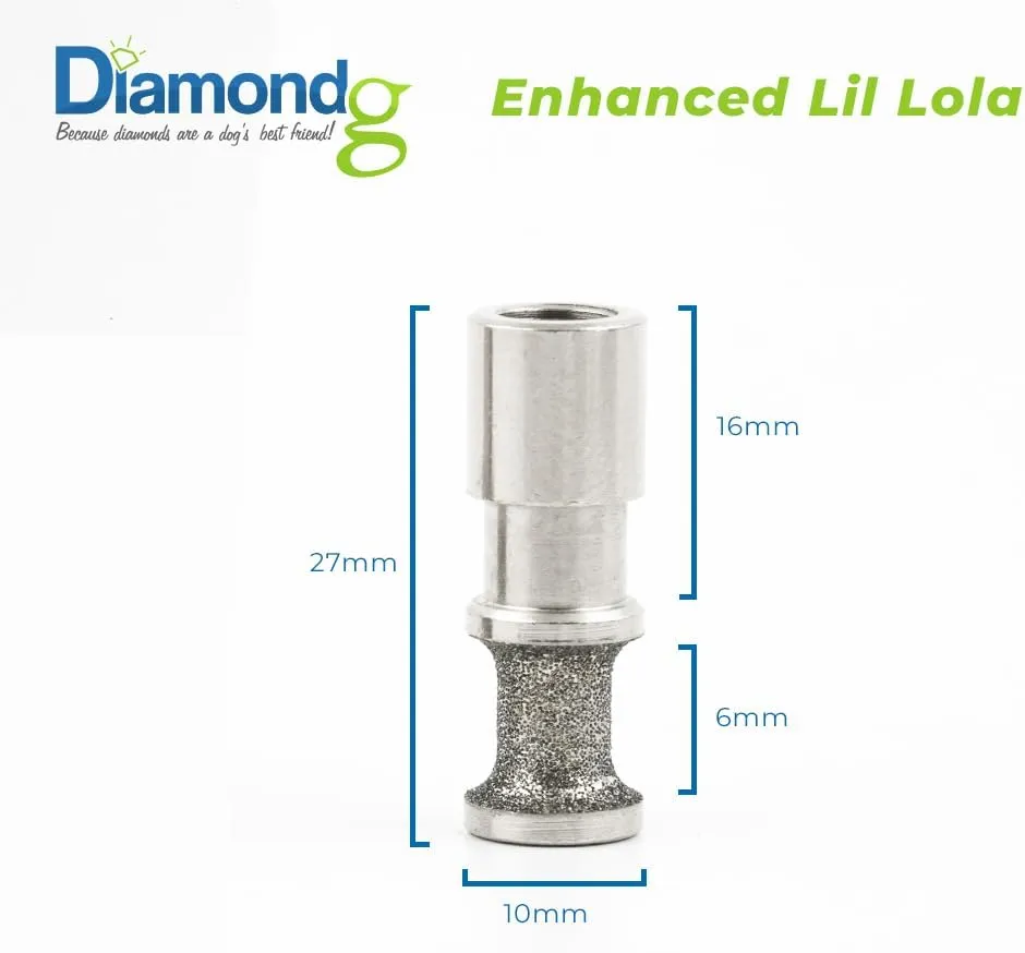 Diamondg - Professional Rotary Nail Grinder Bit - for Small Dogs - Painless Nail Trimmer Bits Won't Pull Hair or Get Hot - Pack of 1