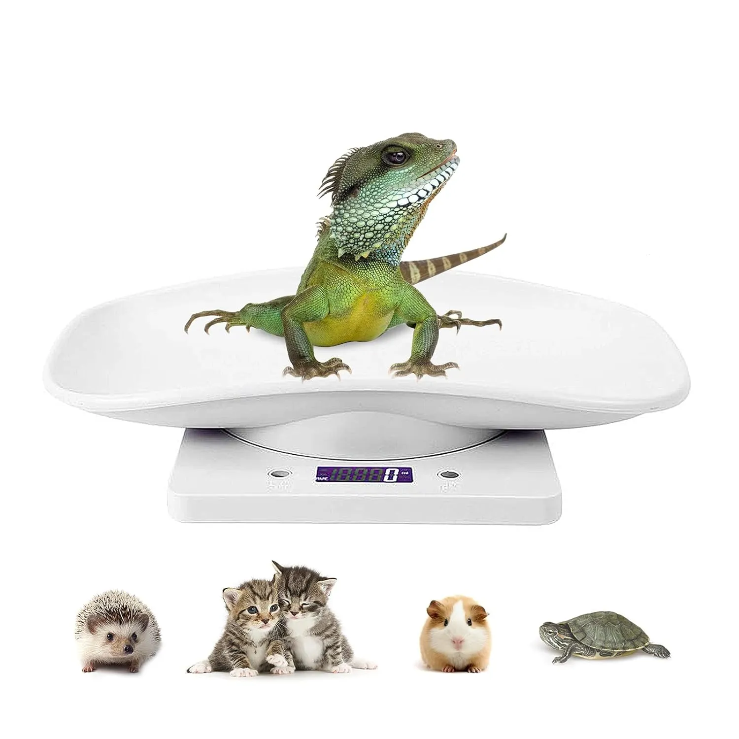 Digital Pet Scale LCD Electronic Small Animals Weighing Scale, Kitchen Food Scale, Mini Precision Grams Weight Balance Scale with g/ml/oz/lb for Pup/Cat/Hedgehog/Ferret/Hamster/Tortoise/Lizard