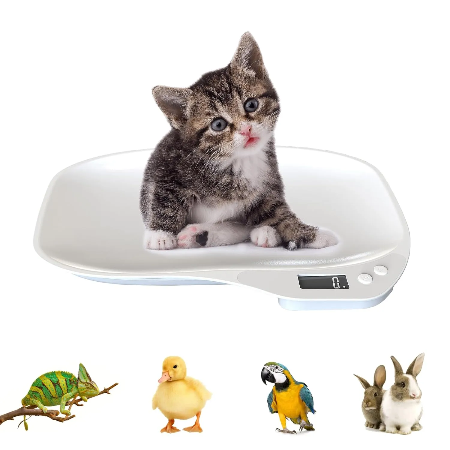 Digital Pet Scale, Portable LCD Electronic Weighing Scale(Max. 33 lbs), Small Animal Weight Scale, Multifunction Kitchen Scale for Food/Lizard/Puppy/Kitten/Hamster/Whelping