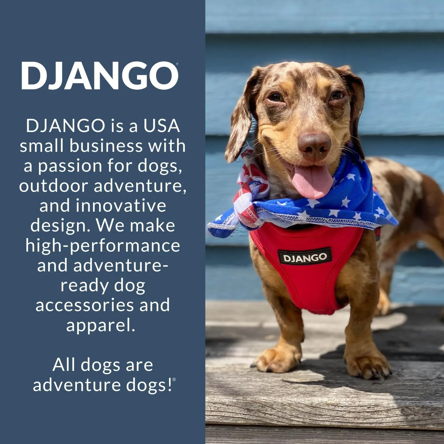 DJANGO Dog Carrier Bag Medium - Waxed Canvas and Leather Soft Dog Travel Carrier - Navy Blue Travel Tote Bag for Pets with Harness Safety Tether, Secure Zipper Pockets, and Water-Resistant Lining