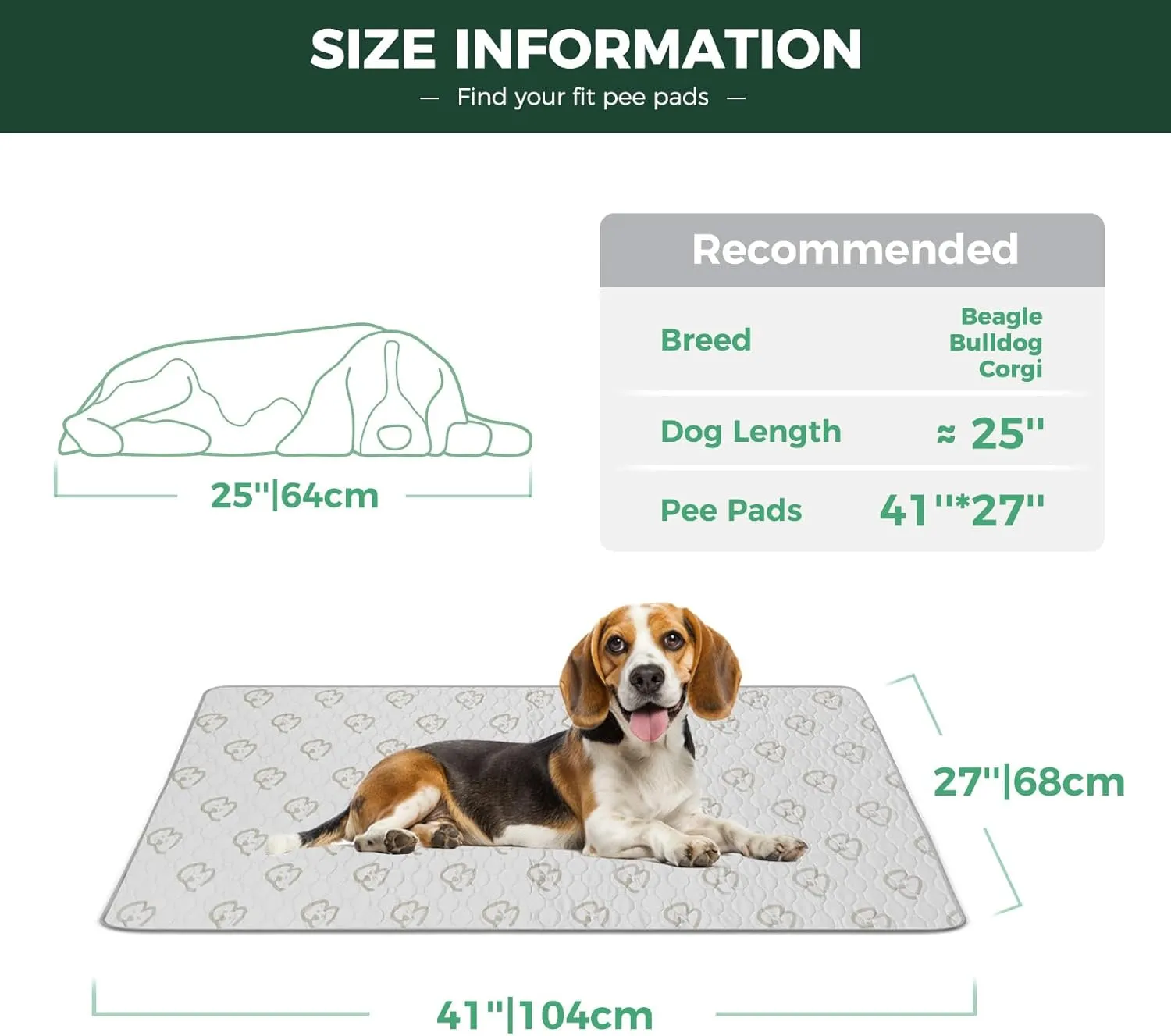 FXW Washable Pee Pads for Dogs, Puppy Pads with Super Absorbent, Specifically Designed for 42inch Cages, Rectangle, 41" x 27", 1 Pack