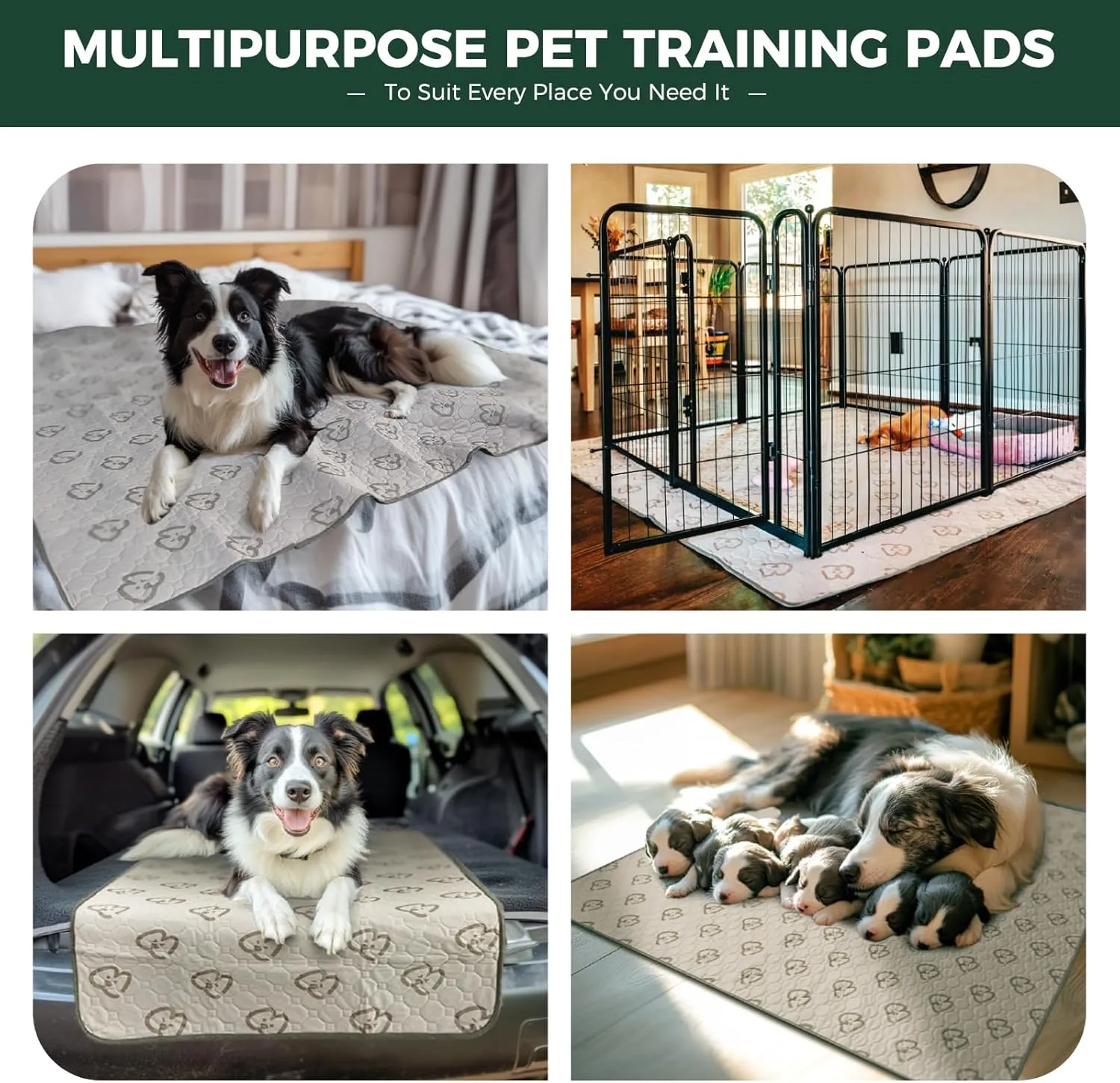 FXW Washable Pee Pads for Dogs, Puppy Pads with Super Absorbent, Specifically Designed for 42inch Cages, Rectangle, 41" x 27", 1 Pack