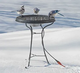 Heated Bird Bath with Pedestal