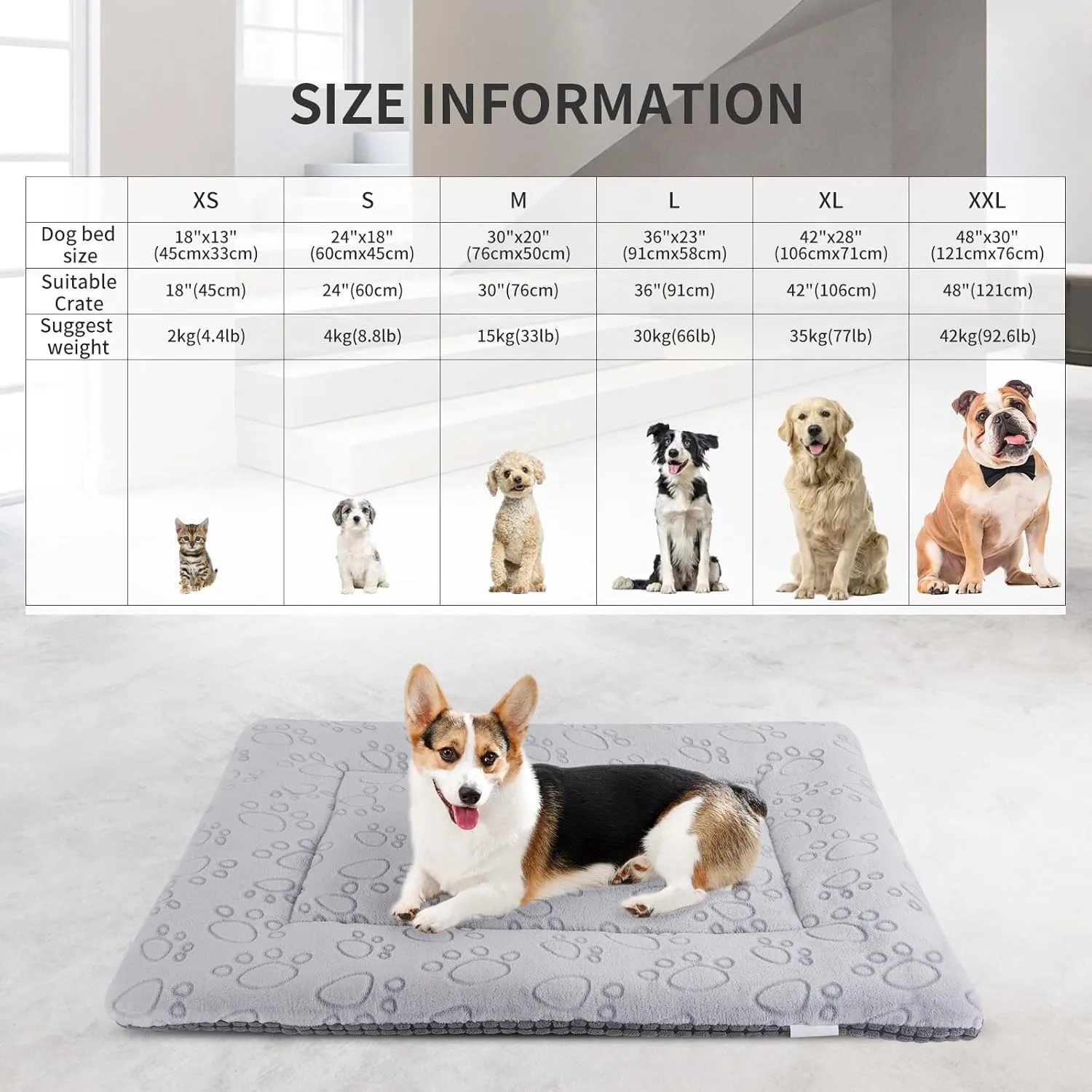 IEUUMLER Dog Bed, Reversible Washable Bed Mat, Soft Premium Plush Dog Crate Pad, Pet Cushion Sleeping Mattress for Small/Medium/Large Dogs and Cats FC014 (Gray,30"*20")