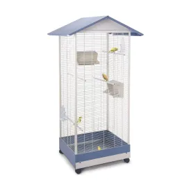 Imac Mixed Lobelia Cage