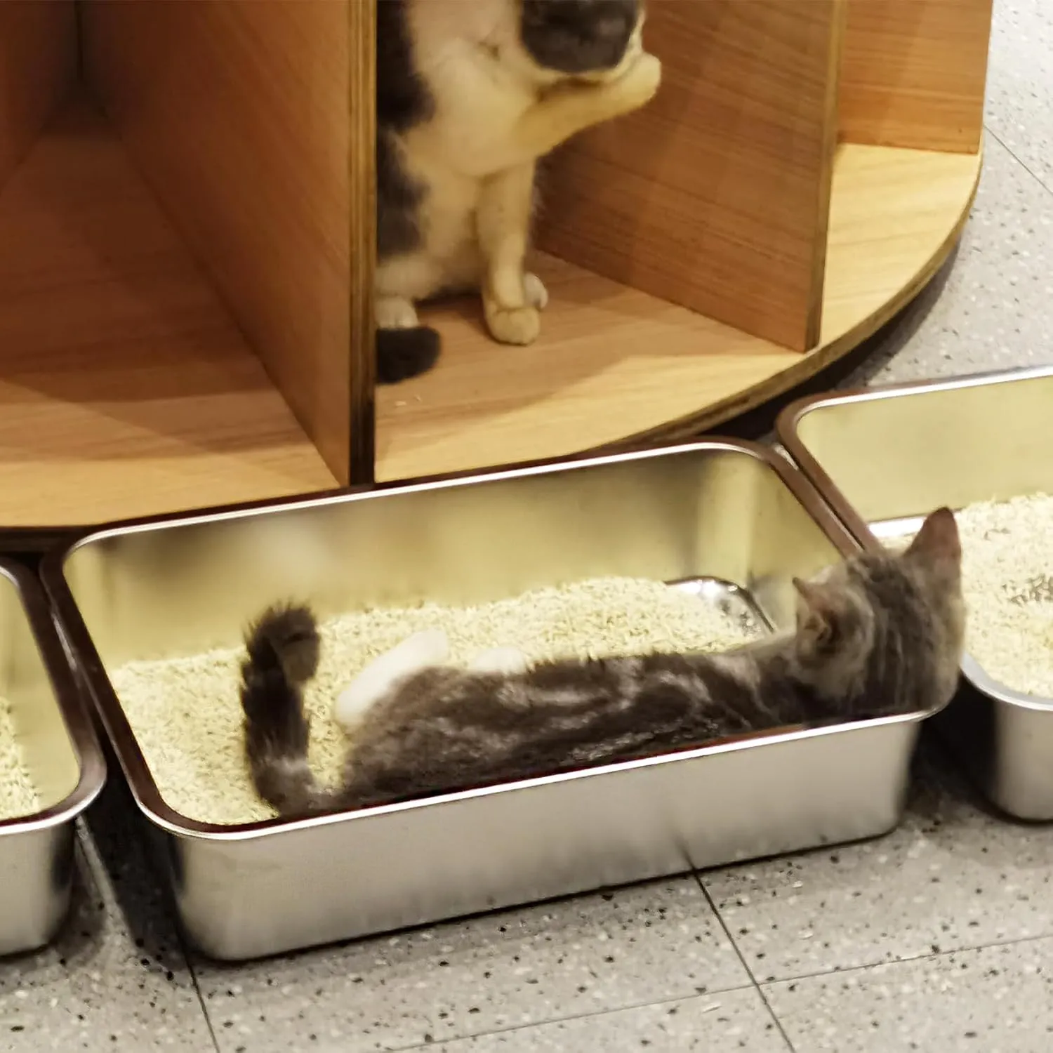 LIHONG Stainless Steel Cat Litter Box,Small Metal Litter Box for Small Cats Hamster Rabbits,No Smell,Non Stick,Easy to Clean(18" Lx14 Wx4 H,M)