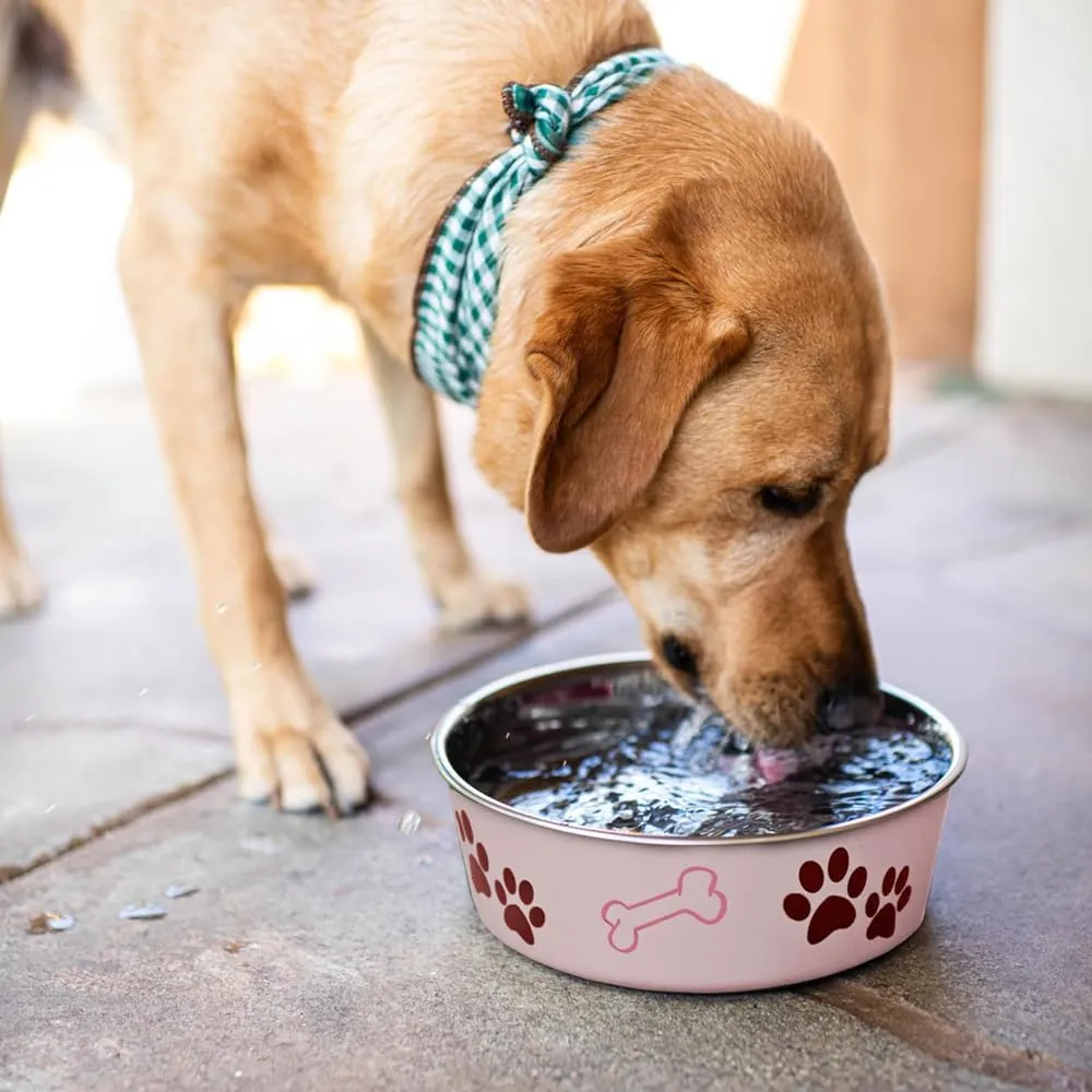 Loving Pets  -  - ( 10-20 , i )