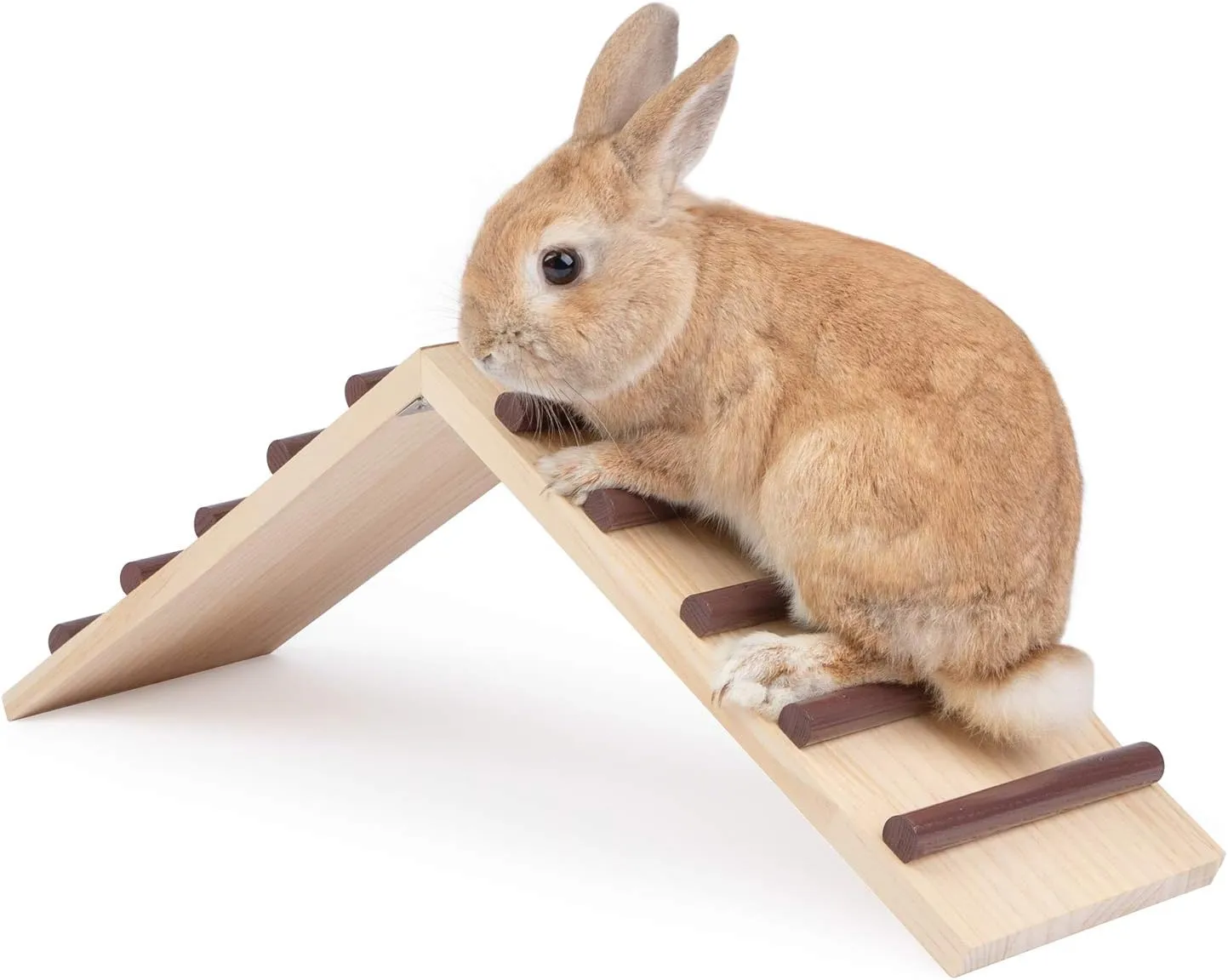 Niteangel Wooden Cage Bridge for Rabbits, Guinea Pigs and Chinchilla, Large Size