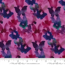 Playgrounds by Amarilys Henderson Purple 2268 13 Moda - Quilt Fabric