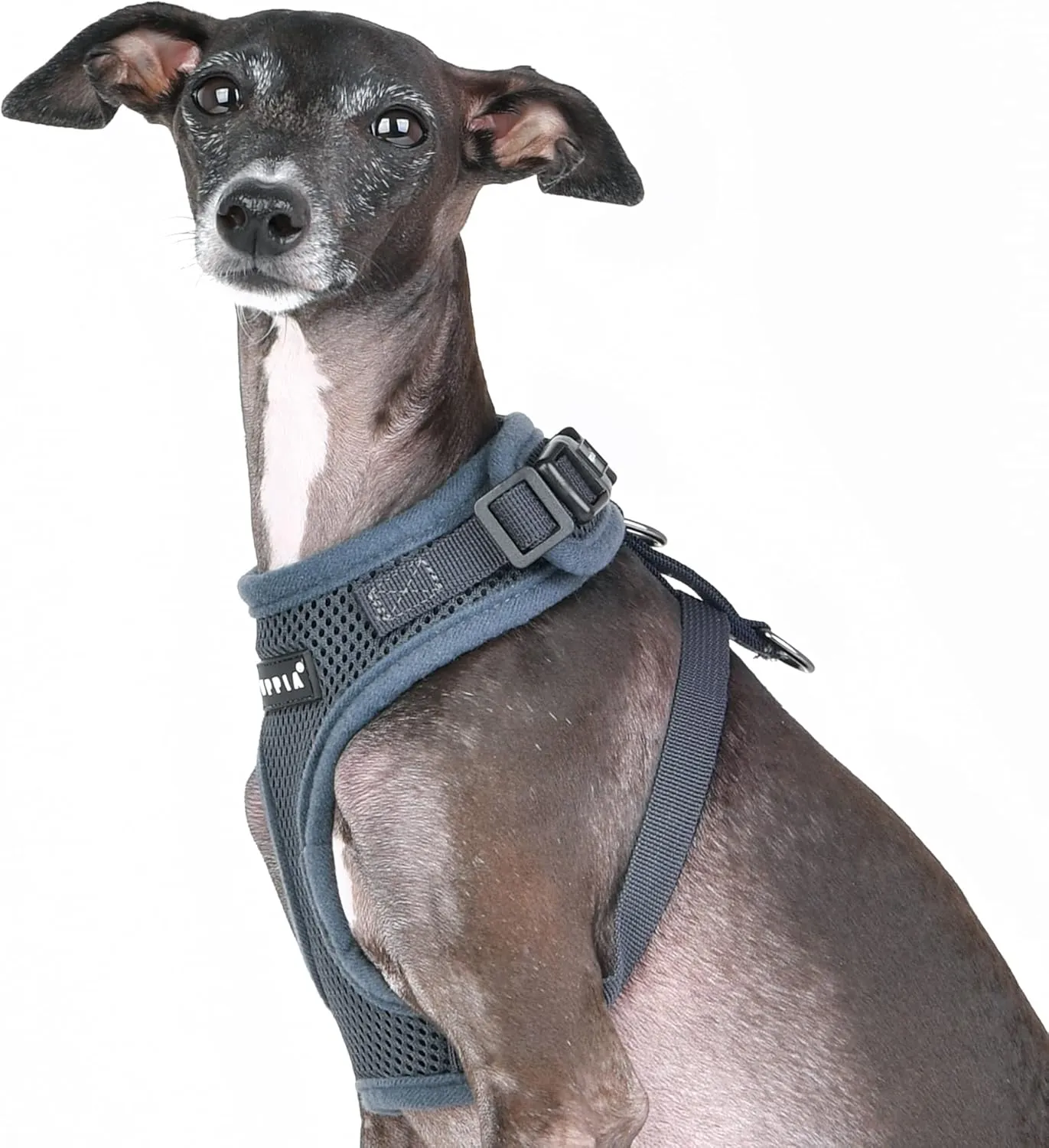 Puppia RiteFit Dog Harness Mesh Over-The-Head All Season No Pull No Choke Walking Training Adjustable Neck & Chest for Small & Medium Dog - Grey - Small