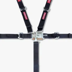 Pyrotect 5-Point Standard Latch & Link Harness - 2" Width - Pull Down Adjust - Blue