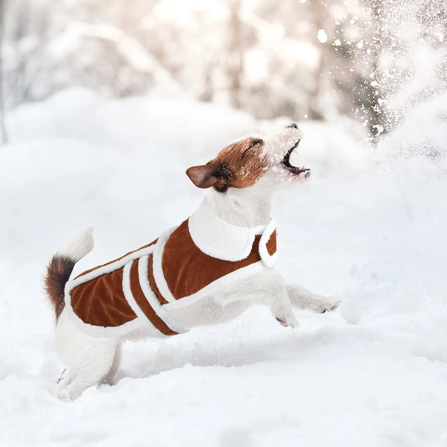 Rypet Small Dog Winter Coat - Shearling Fleece Dog Warm Coat for Small to Medium Breeds Coffee, Large