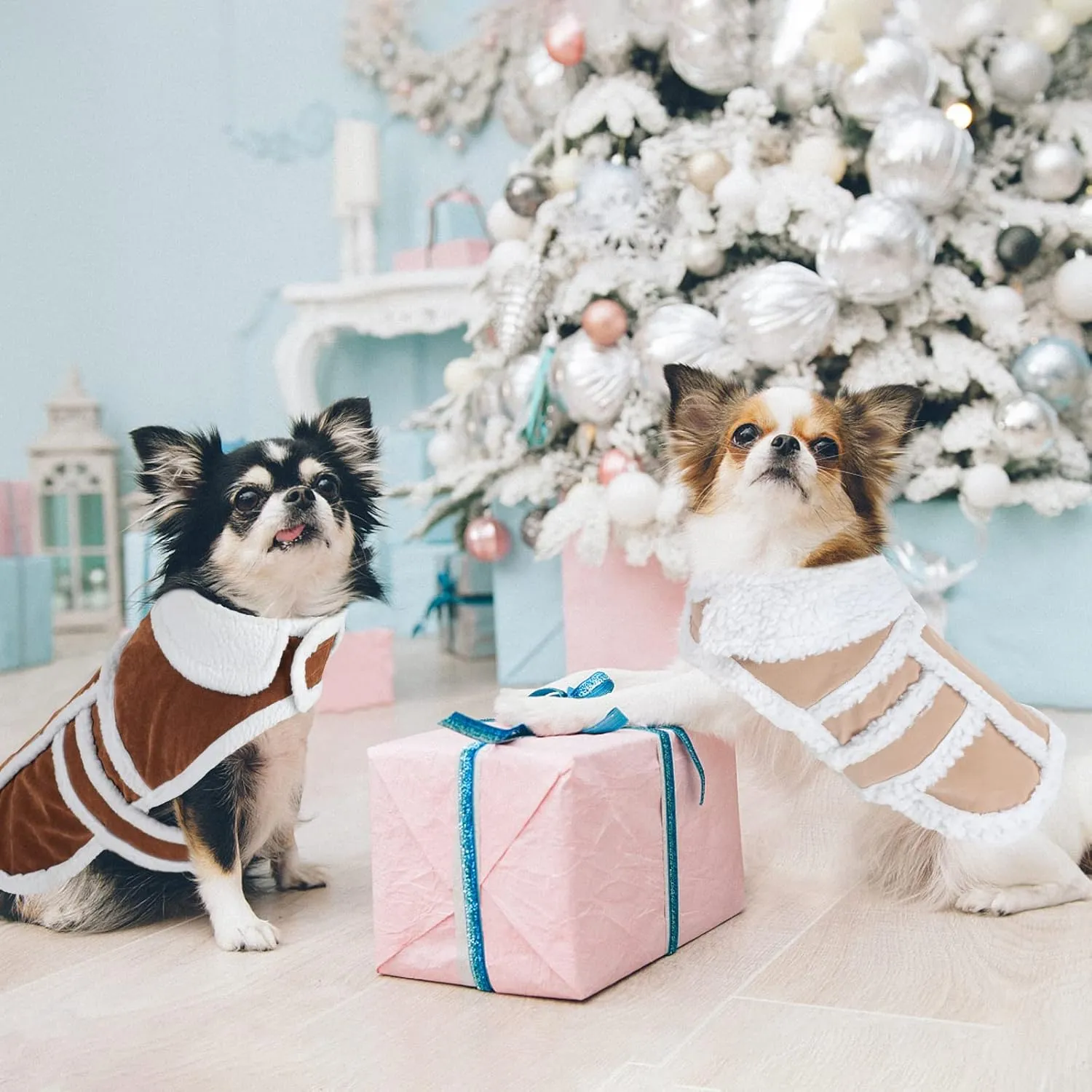 Rypet Small Dog Winter Coat - Shearling Fleece Dog Warm Coat for Small to Medium Breeds Coffee, Large