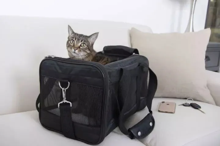 Sherpa - The Original Deluxe Pet Carrier - Black