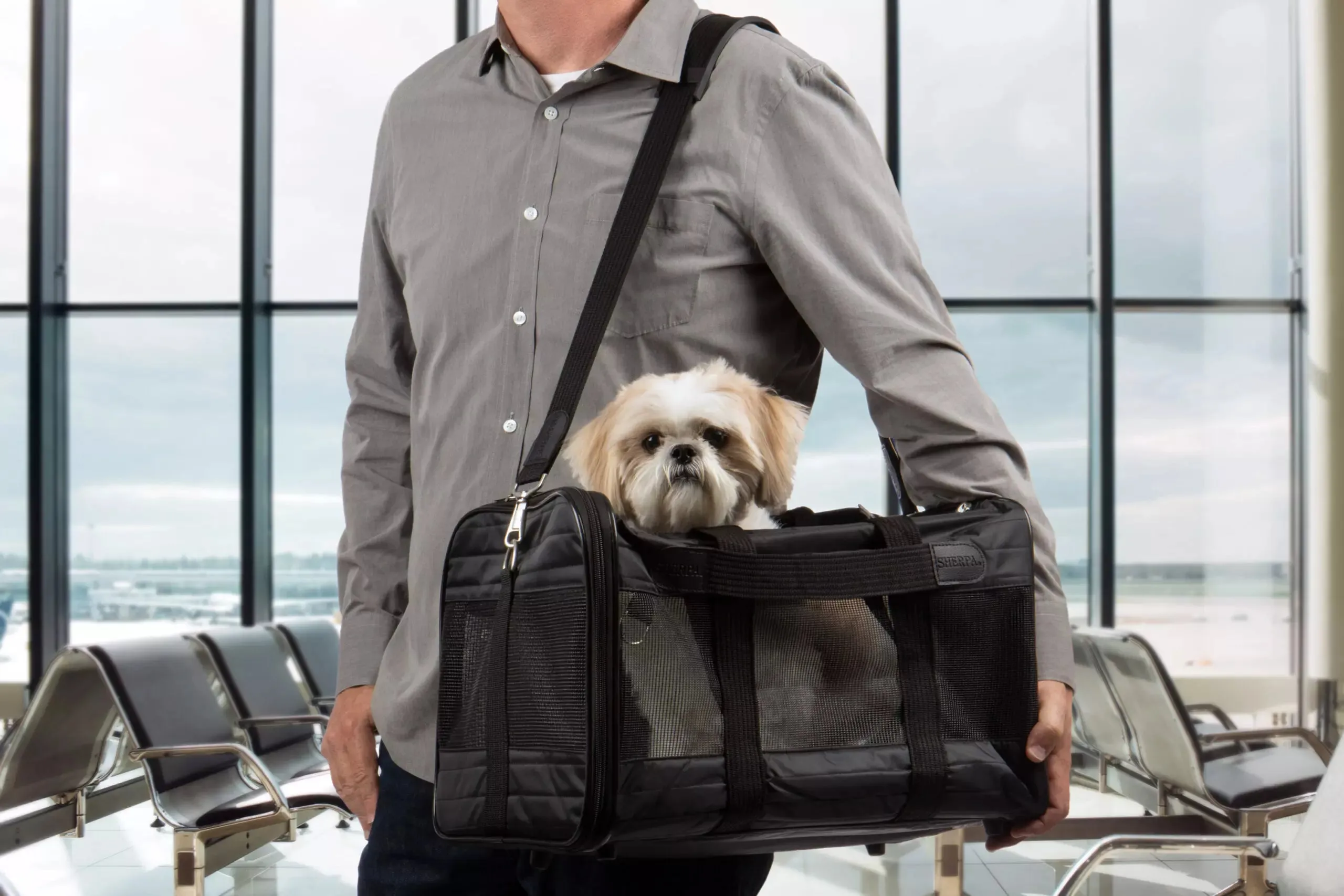 Sherpa - The Original Deluxe Pet Carrier - Black