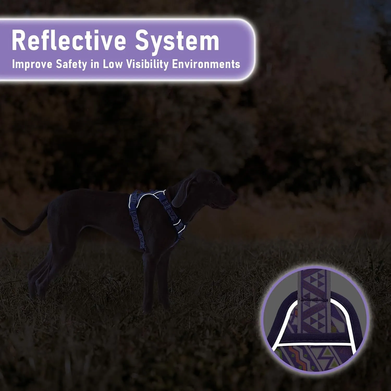 Small Dog No Pull ,,,,,,,S 