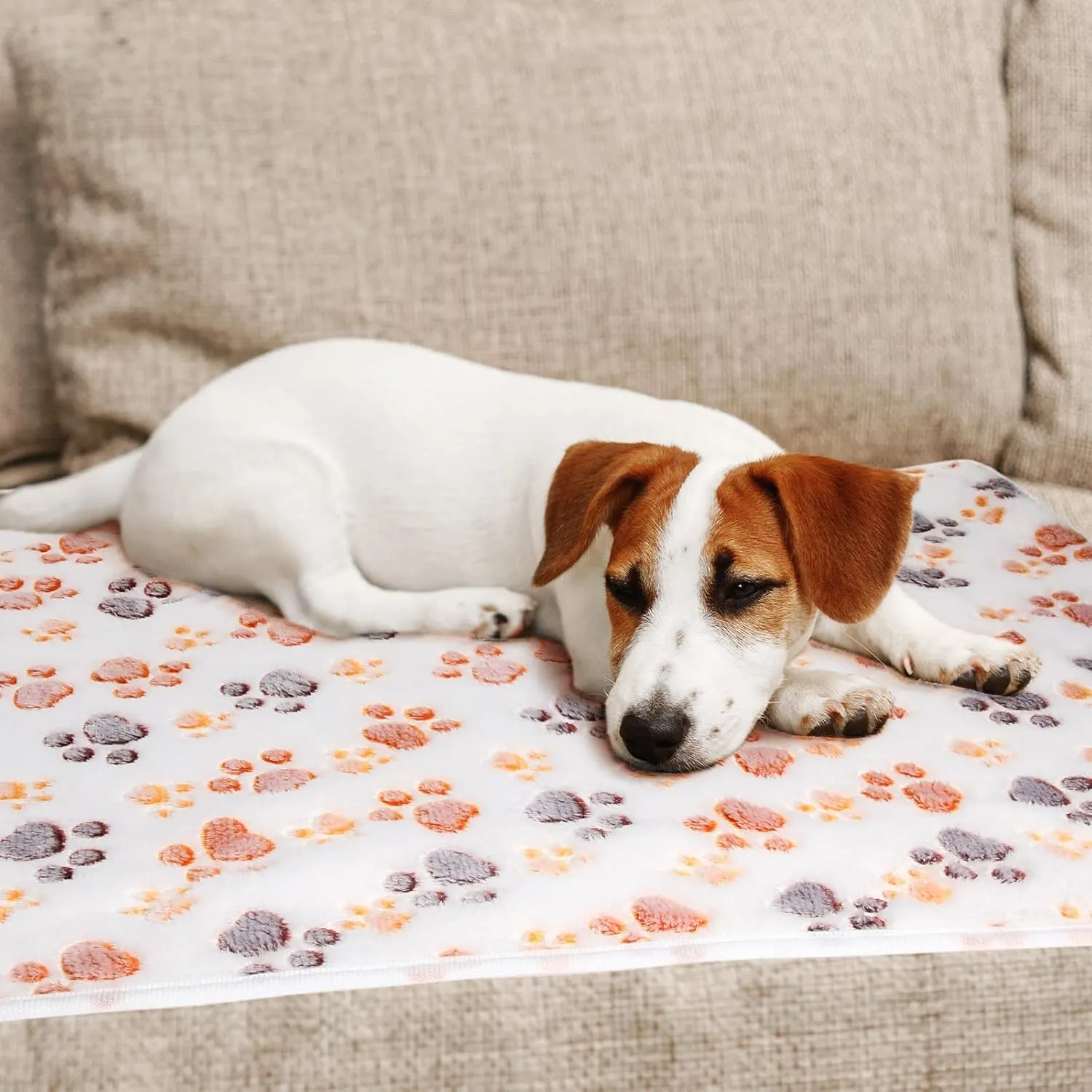 Tegeme 8 Pcs Fleece Dog Blankets for Small Dogs Cat Soft Coral Velvet Warm Sleep Mat Fluffy Dog Paw Print Blanket for Kitten Doggy Small Animal(24 x 16 Inch,White)