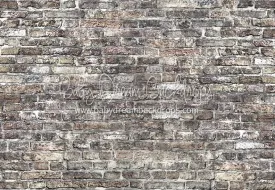 watson-brick-Floor-rf
